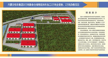 巴彦淖尔经济技术开发区五个重点建设项目集中开工